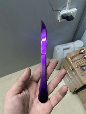 Large Size SS PVD Ion Coating Machine Metal Coating Machinery PVD Machine SS Sheets